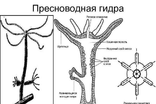 Кракен сайт даркнет